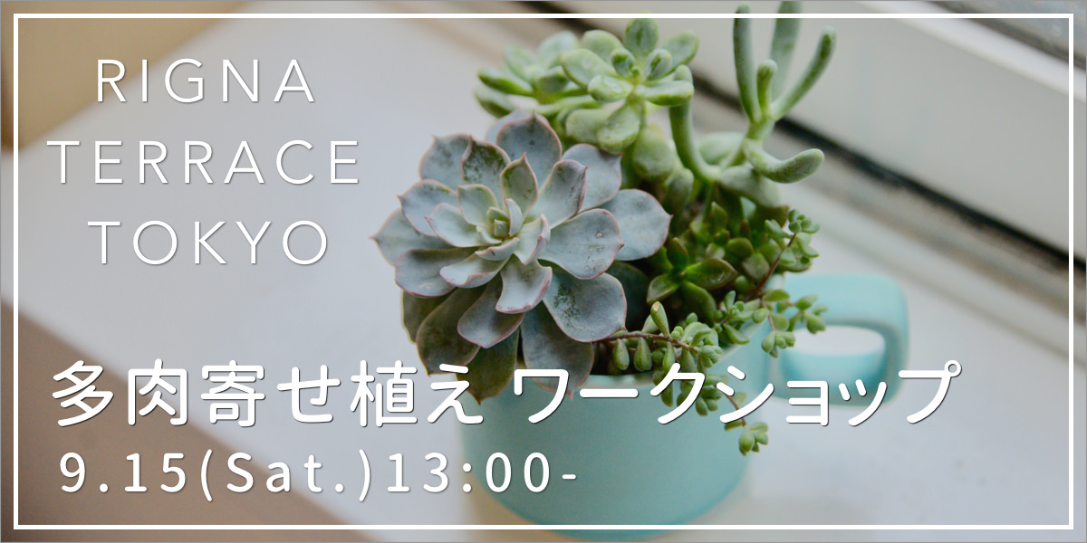 リグナテラス 9月のワークショップ 多肉寄せ植え おしゃれな家具通販 インテリアショップ リグナ